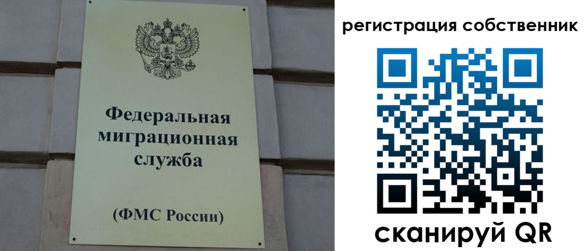 прописка гарантия в Павловском Посаде